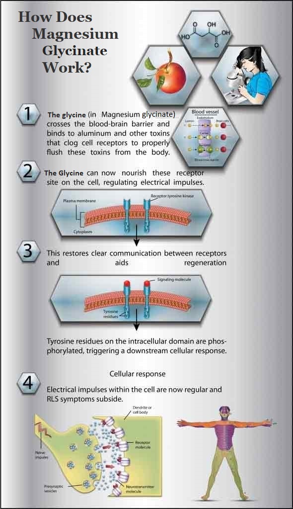 How Does Bene Work - Magnesium Glycinate Process